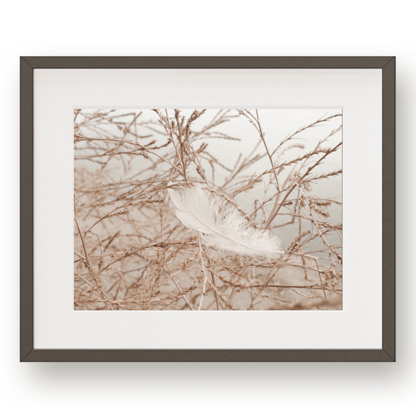 #1505 White Feather in Meadow Branches, Printable Art, Digital Download, Gallery Wall Art