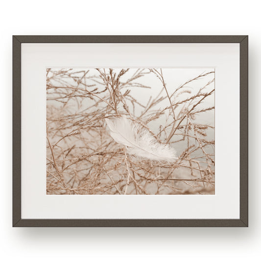 #1505 White Feather in Meadow Branches, Printable Art, Digital Download, Gallery Wall Art