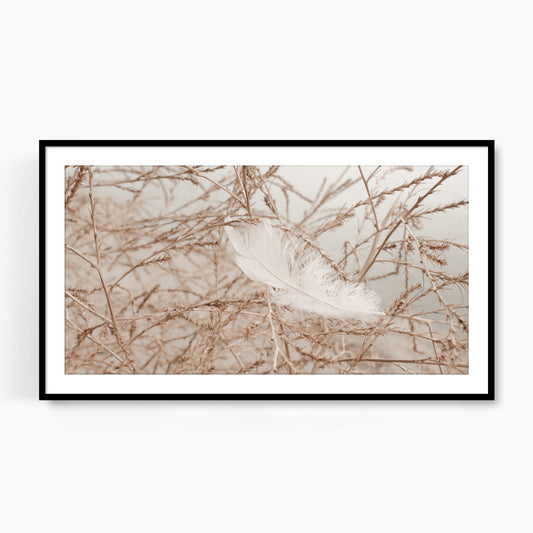 #1505F White Feather in Meadow Branches, Samsung Frame TV Art, Digital Wallpaper, Digital Download