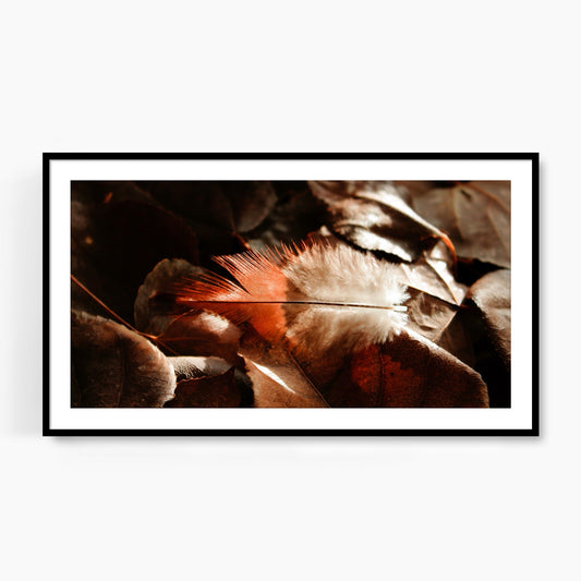 #1507F Red Tipped Feather on Fallen Leaves, Samsung Frame TV Art, Digital Wallpaper, Digital Download