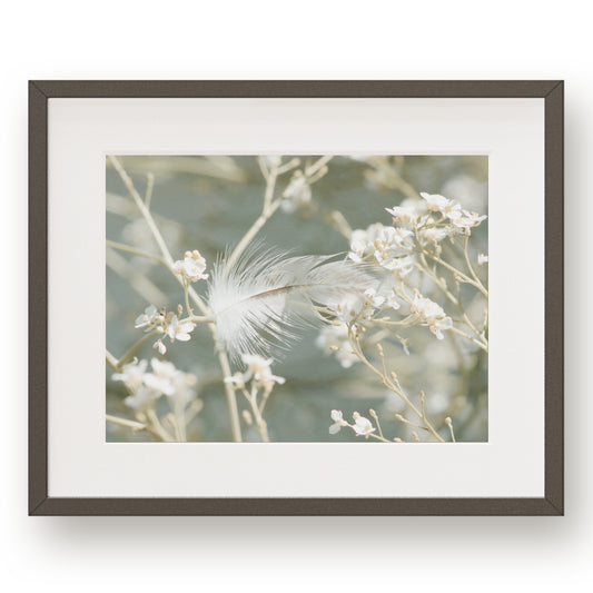 #1510 White Feather in Airy Spring Flowers, Printable Art, Digital Download, Gallery Wall Art