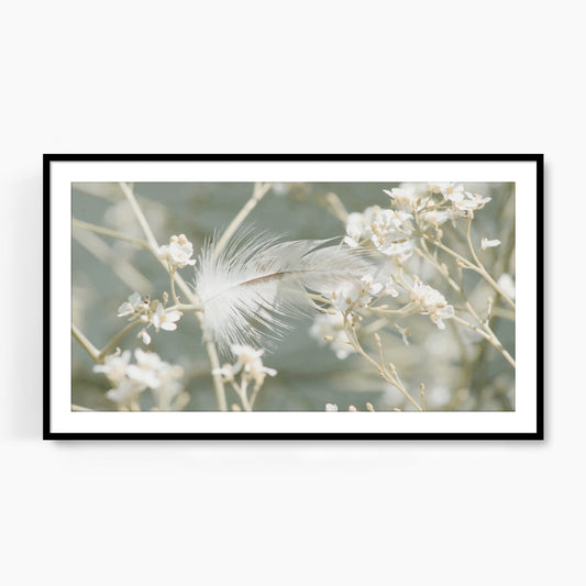 #1510F White Feather in Airy Spring Flowers, Samsung Frame TV Art, Digital Wallpaper, Digital Download