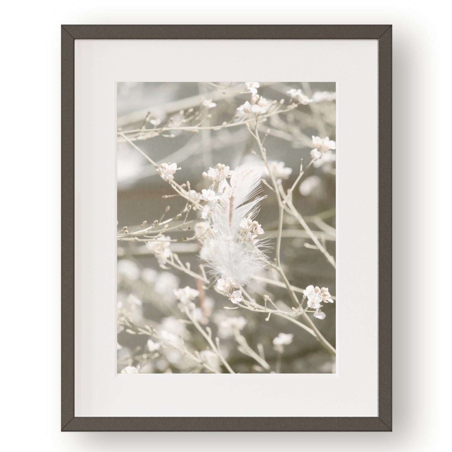 #1511 White Feather in Airy Spring Flowers, Printable Art, Digital Download, Gallery Wall Art