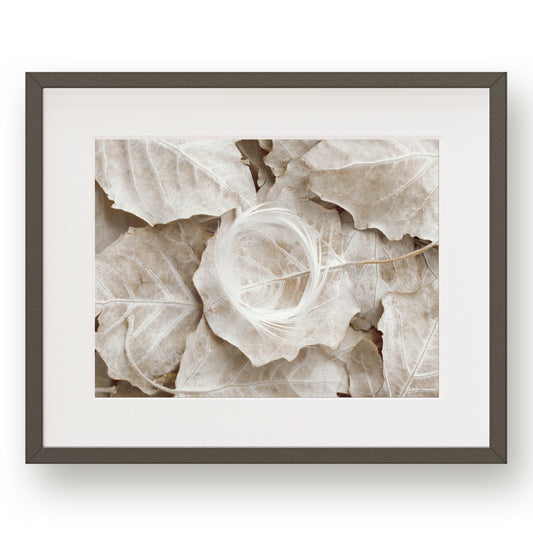 #1514 White Wreath on Fallen Leaves, Printable Art, Digital Download, Gallery Wall Art