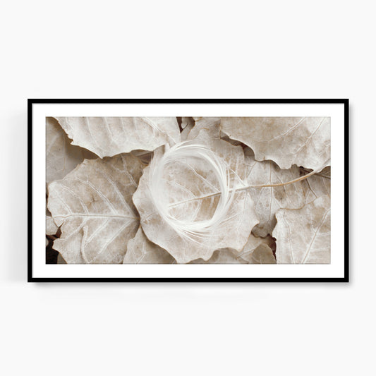 #1514F White Wreath on Fallen Leaves, Samsung Frame TV Art, Digital Wallpaper, Digital Download