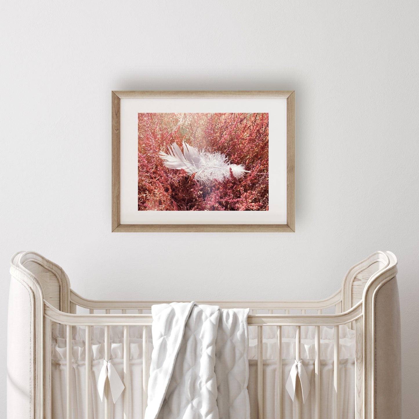 #1515 Soft White Feather on Bed of Pink, Printable Art, Digital Download, Gallery Wall Art