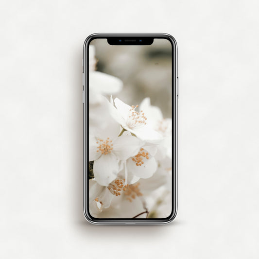 #1520P White Spring Flowers - Phone Wallpaper, iPhone Wallpaper, Android Wallpaper, Lock Screen Wallpaper