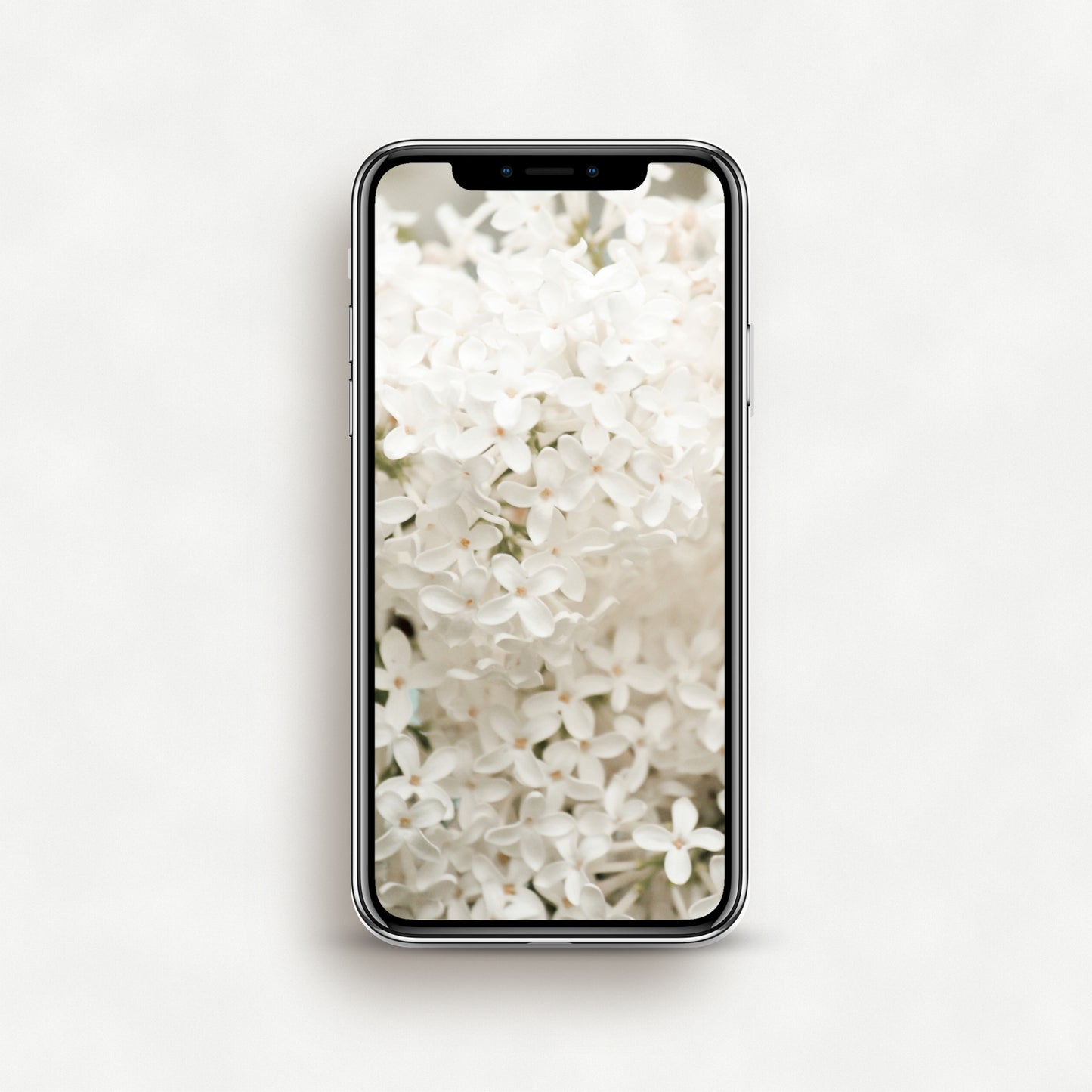 #1523P White Lilac Flowers - Phone Wallpaper, iPhone Wallpaper, Android Wallpaper, Lock Screen Wallpaper