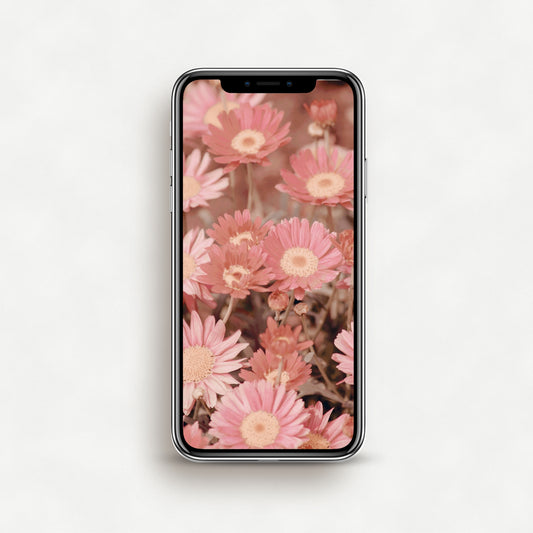 #1528P Pink Flowers in Summer - Phone Wallpaper, iPhone Wallpaper, Android Wallpaper, Lock Screen Wallpaper