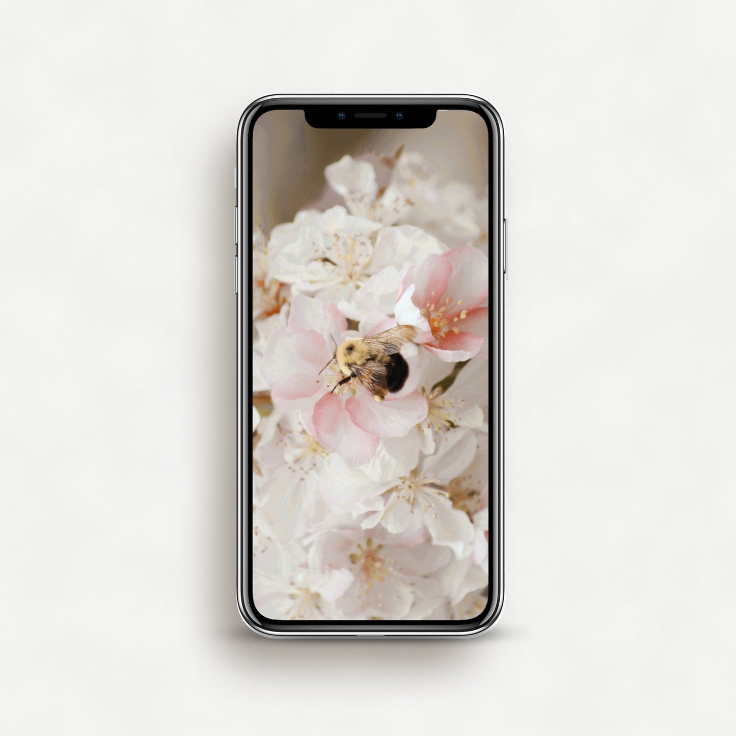 #1535P Bumble Bee on Pink and White Flowers - Phone Wallpaper, iPhone Wallpaper, Android Wallpaper, Lock Screen Wallpaper