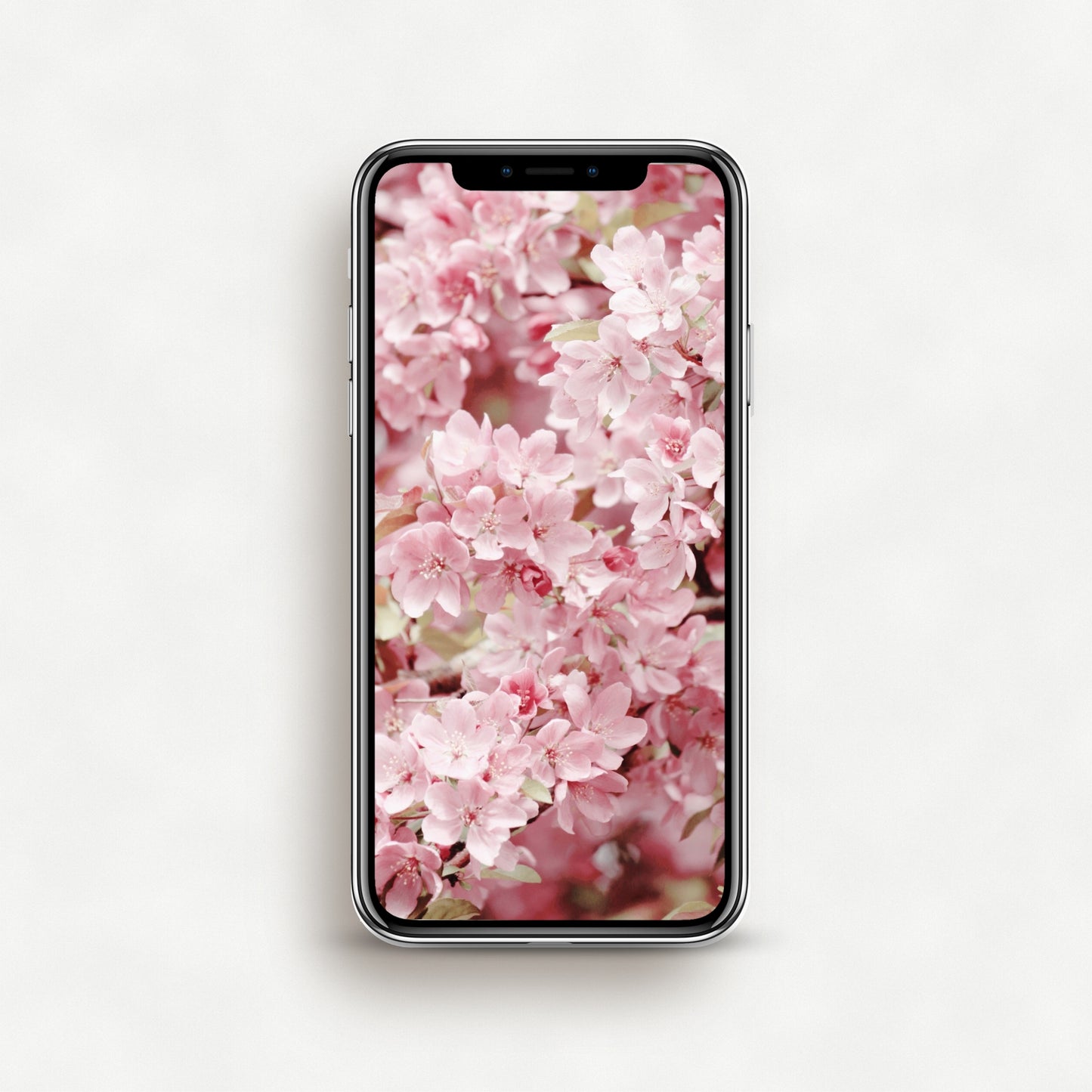 #1536P Pink Crabapple Blossoms - Phone Wallpaper, iPhone Wallpaper, Android Wallpaper, Lock Screen Wallpaper