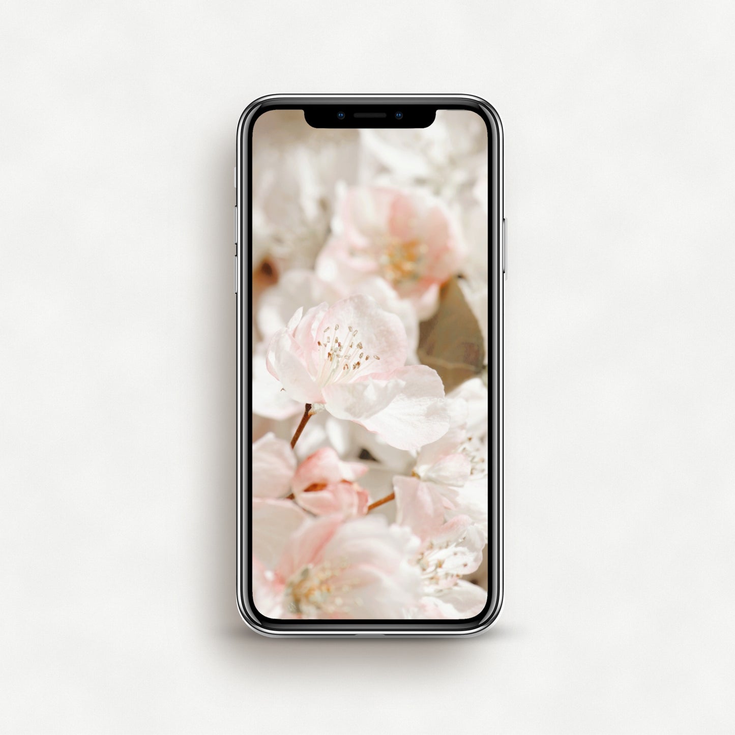 #1538P Apple Blossoms in Spring - Phone Wallpaper, iPhone Wallpaper, Android Wallpaper, Lock Screen Wallpaper