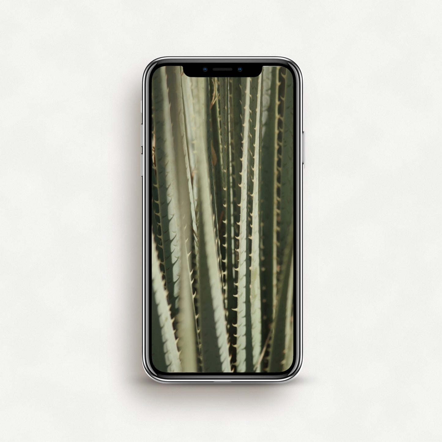 #1554P Green Desert Foliage - Phone Wallpaper, iPhone Wallpaper, Android Wallpaper, Lock Screen Wallpaper