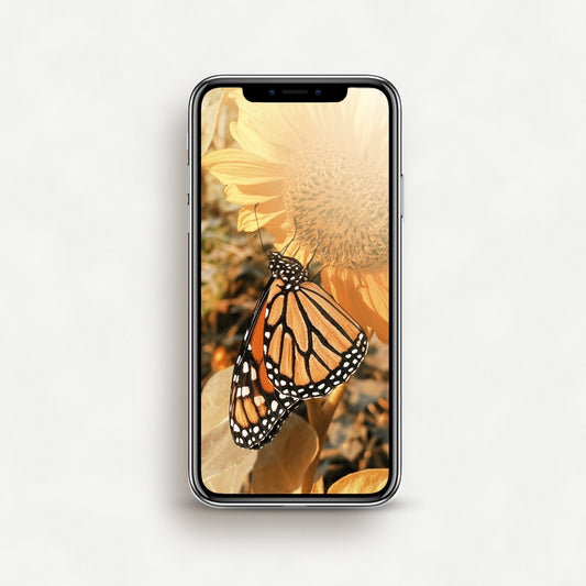 #1568P Golden Butterfly on Sunflower - Phone Wallpaper, iPhone Wallpaper, Android Wallpaper, Lock Screen Wallpaper