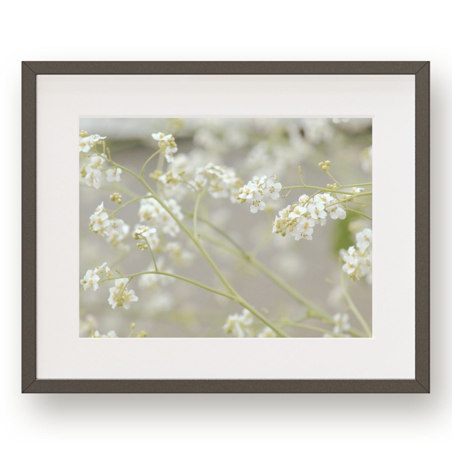 Dainty white spring flowers on slim green branches. 