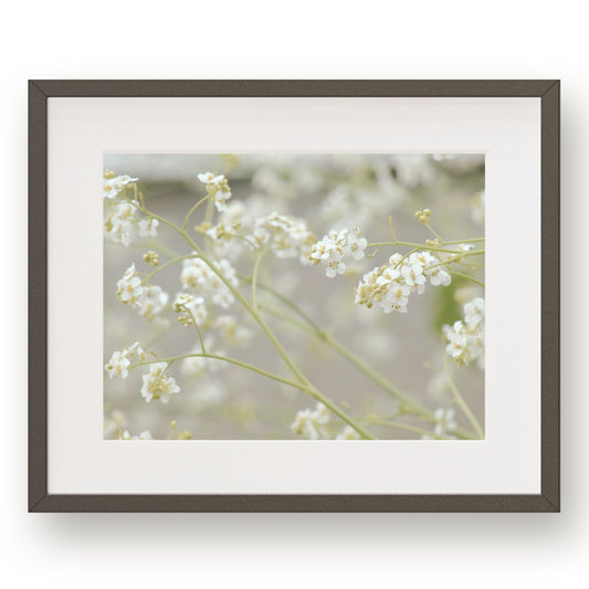 Dainty white spring flowers on slim green branches. 