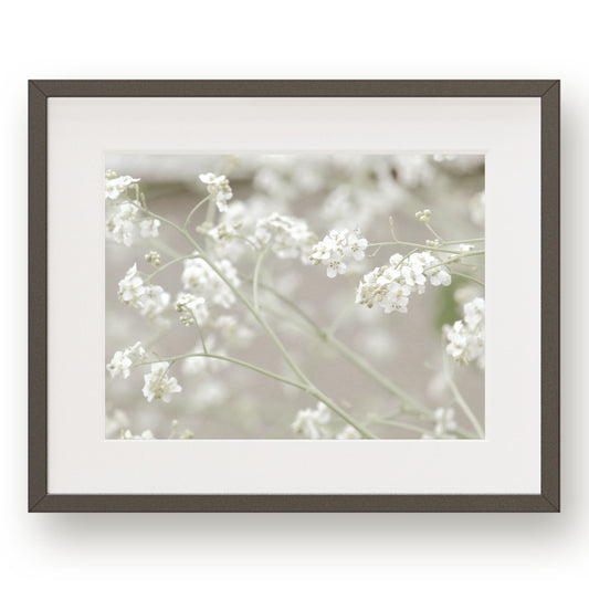 #1448 White Flowers, Printable Art, Digital Download, Home Decor, Gallery Art, Wall Art