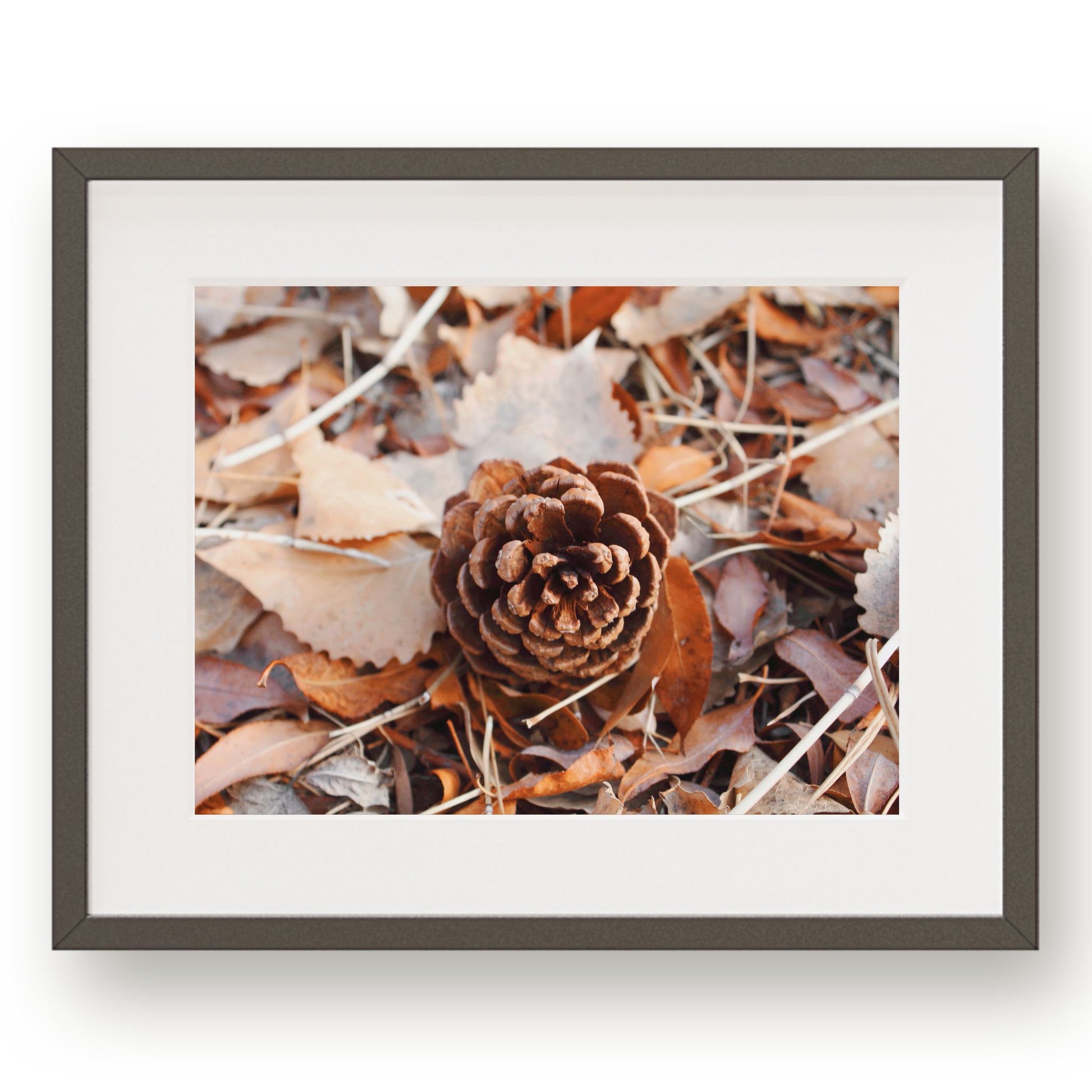 Brown pinecone on orange and tan leaves. 