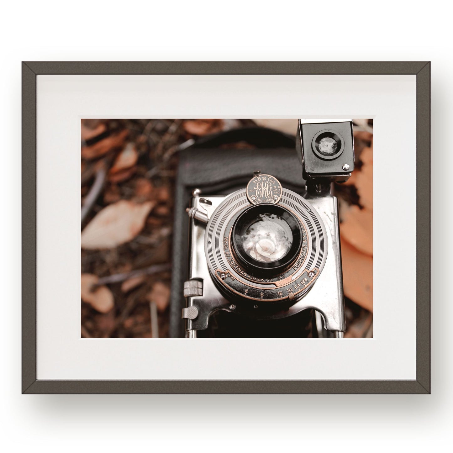 Grandpa's vintage black and silver camera laying in brown and golden leaves.