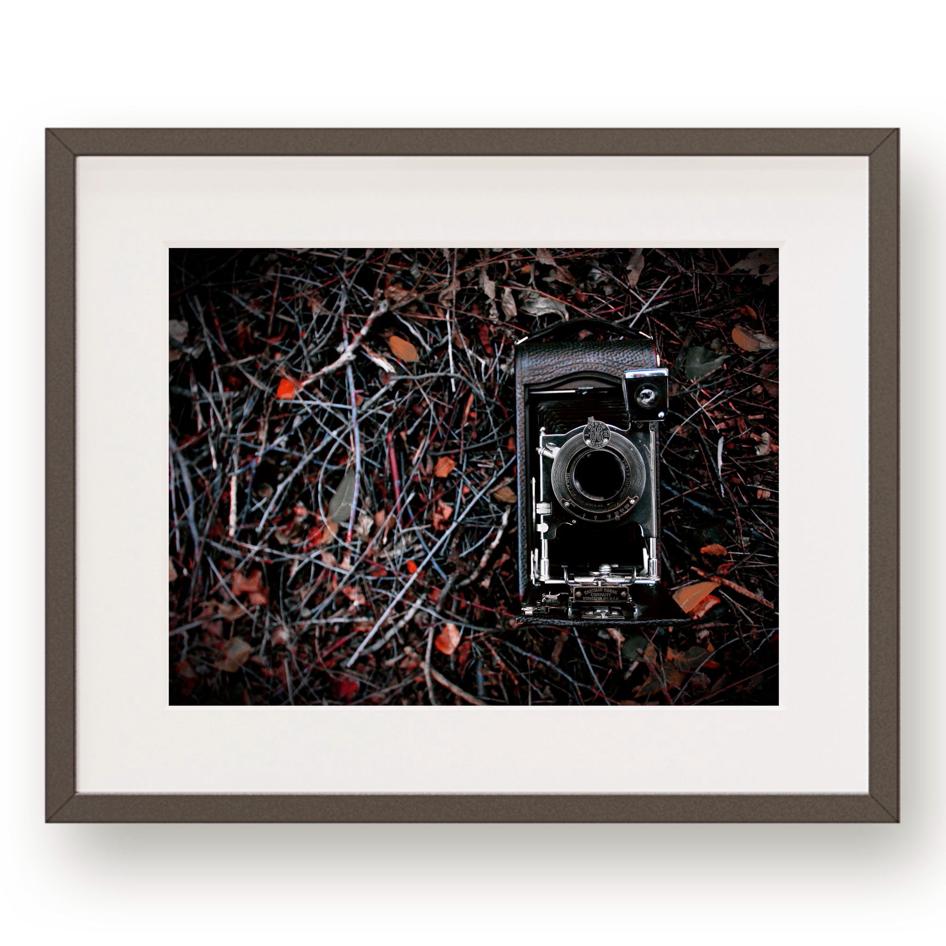 Grandpa's vintage black and silver camera laying in red leaves and gray branches. 