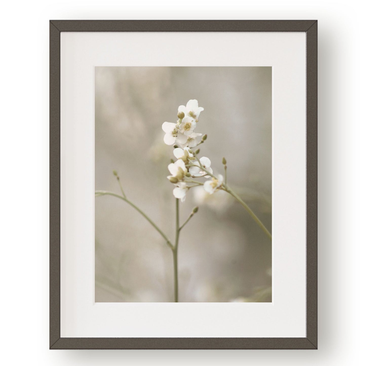 #1034 White Wildflowers, Printable Art, Digital Download, Home Decor, Gallery Art, Wall Art