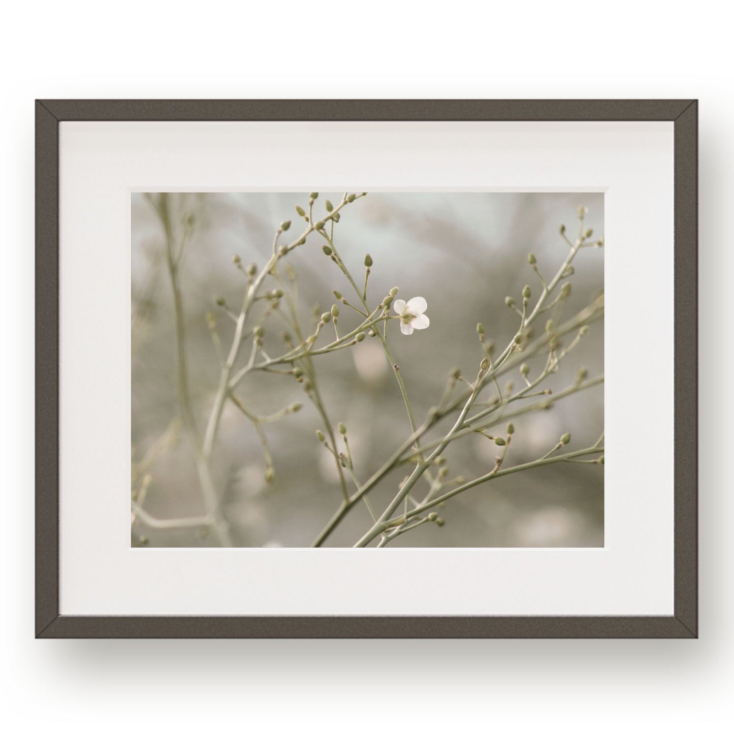 #1035 White Wildflowers, Printable Art, Digital Download, Home Decor, Gallery Art, Wall Art