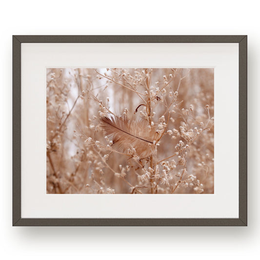 #1046 Brown Feather in Airy Meadow Branches, Printable Art, Digital Download