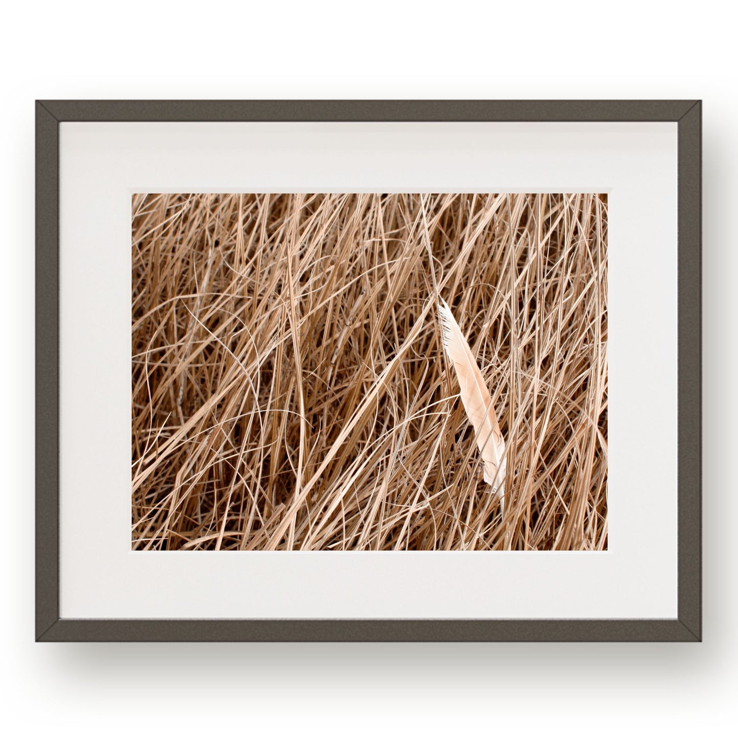 #1058 Orange Feather in Reeds, Printable Art, Digital Download, Home Decor, Gallery Art, Wall Art