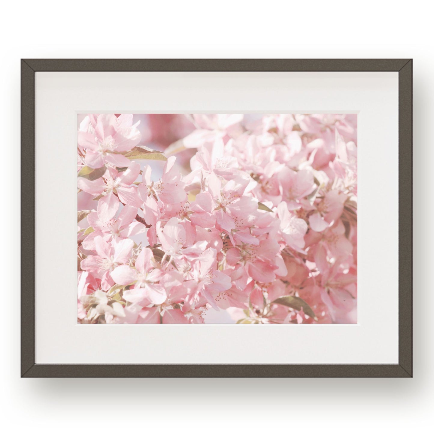 #1075 Pink Apple Blossoms, Printable Art, Digital Download, Home Decor, Gallery Art, Wall Art