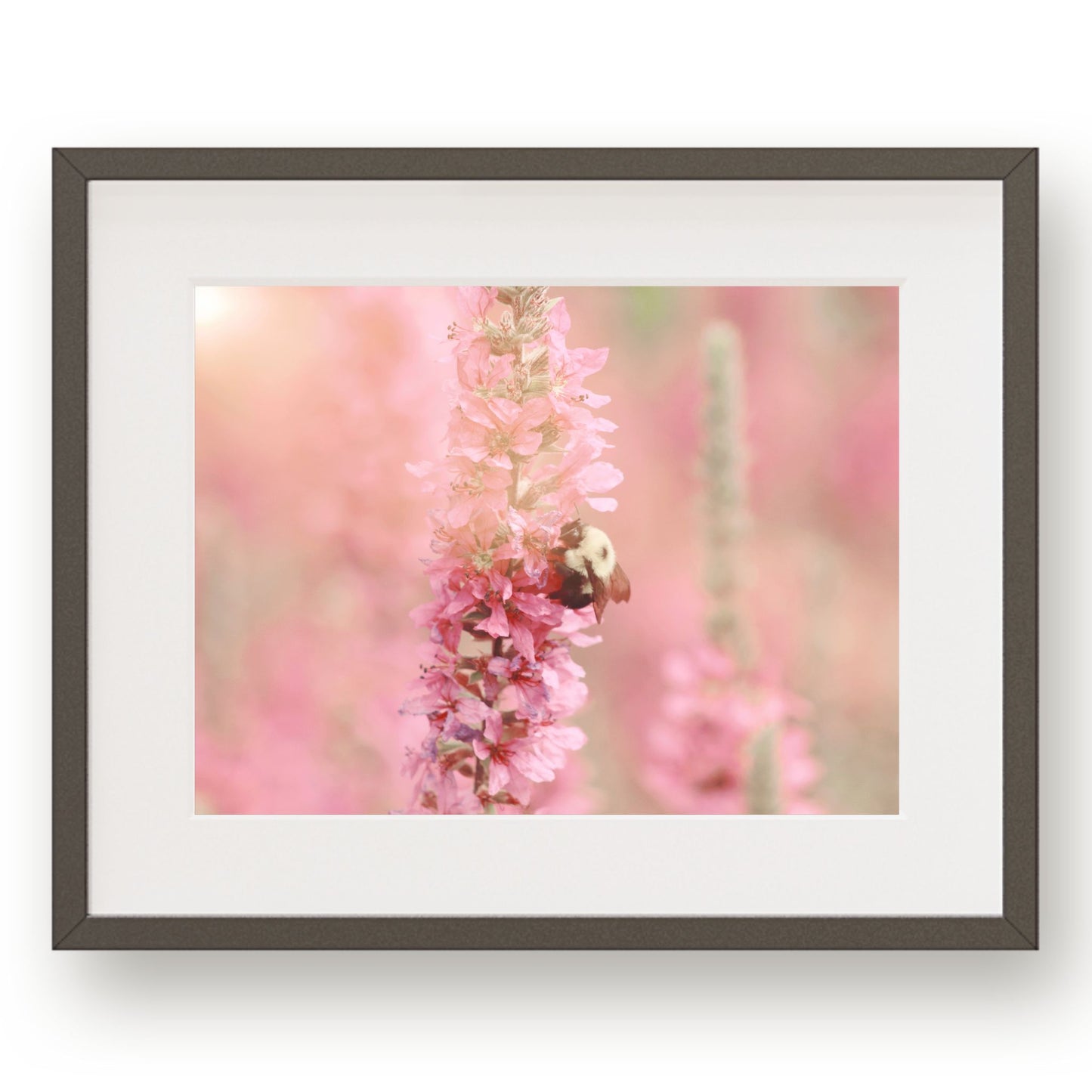 #1076 Bee on Pink Flower, Printable Art, Digital Download