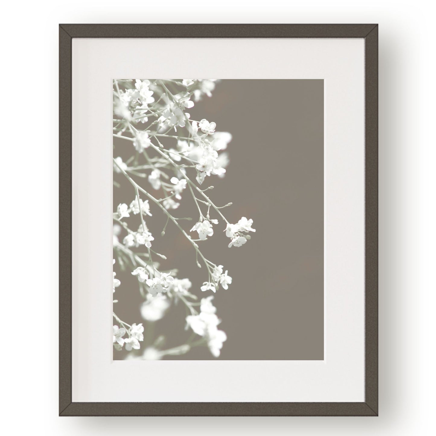 #1092 Airy White Flowers Against Gray Background, Printable Art, Digital Download, Home Decor, Gallery Art, Wall Art