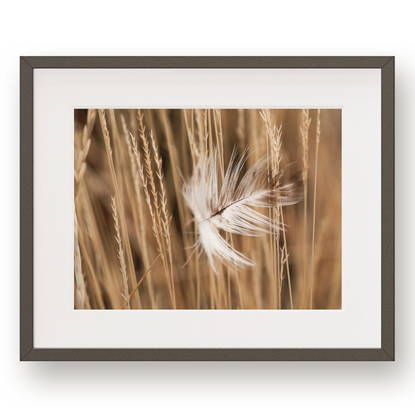 #1095 Feather in Meadow Grass, Printable Art, Digital Download, Home Decor, Gallery Art, Wall Art