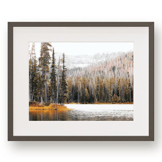 #1103 Pine Trees on Mountain Lake, Printable Art, Digital Download, Home Decor, Gallery Wall Art