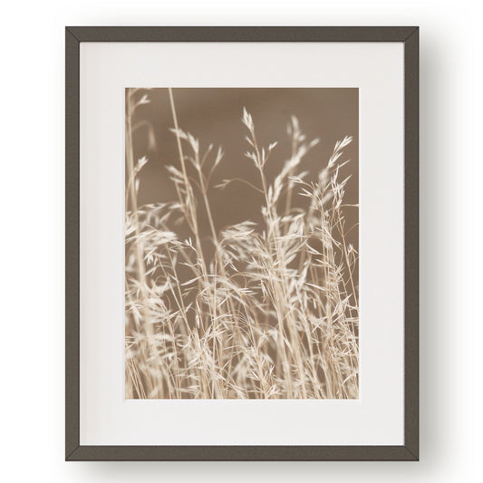 #1107 Golden Meadow Grass, Printable Art, Digital Download, Home Decor, Gallery Art, Wall Art