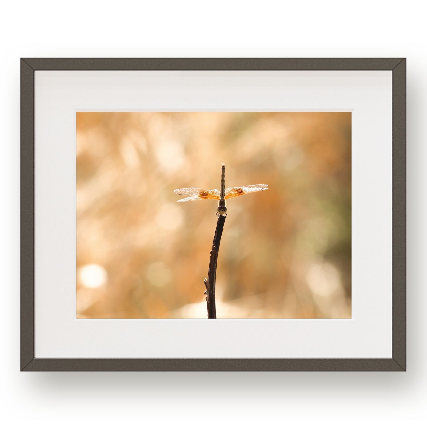 #1110 Golden Dragonfly, Printable Art, Digital Download, Home Decor, Gallery Wall Art