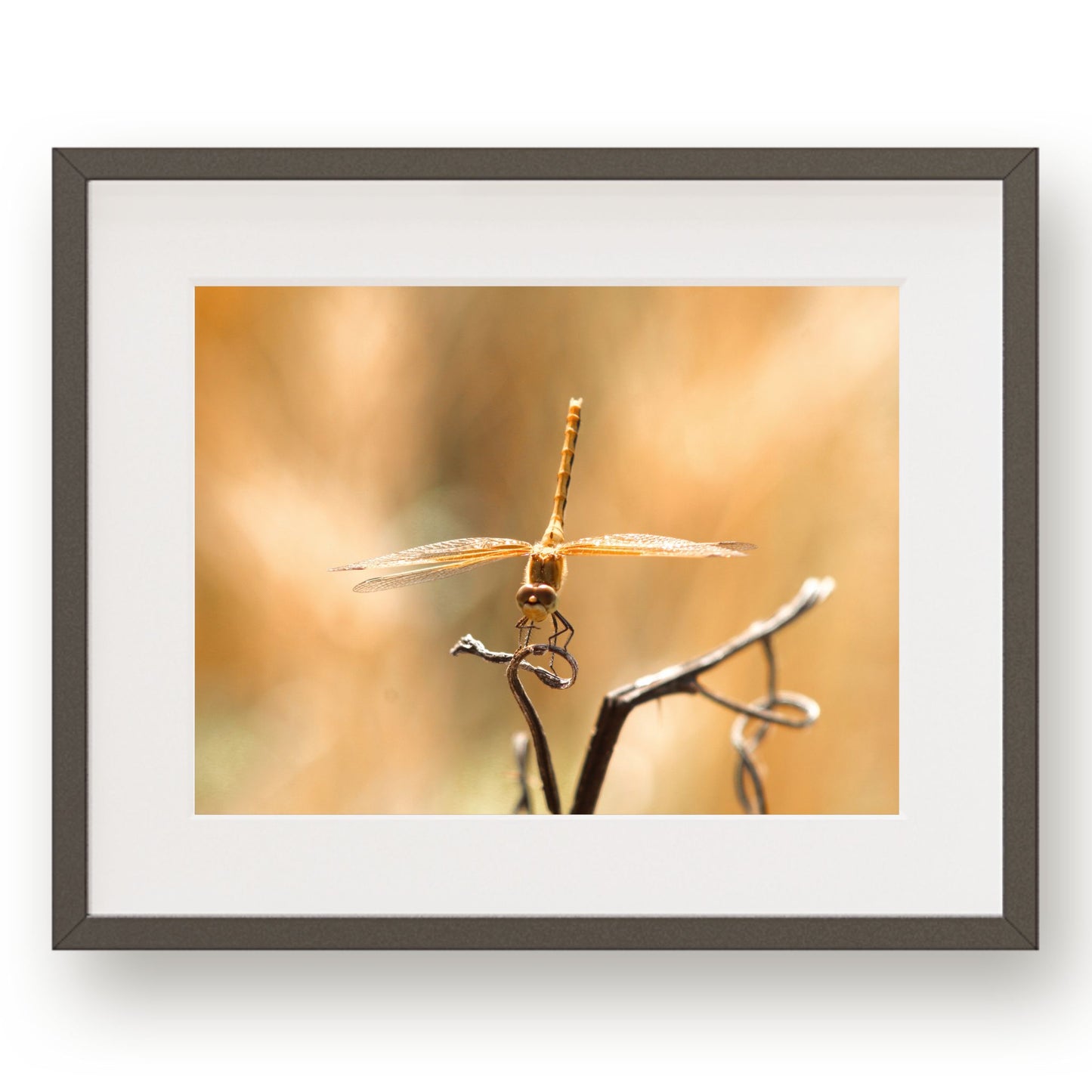 #1111 Golden Dragonfly, Printable Art, Digital Download, Home Decor, Gallery Wall Art