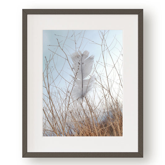 #1112 Gray Feather Against Blue Sky, Printable Art, Digital Download, Home Decor, Gallery Wall Art