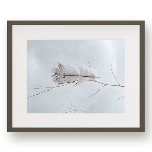 #1114 Gray Feather on Blue Sky, Printable Art, Digital Download, Home Decor, Gallery Art, Wall Art