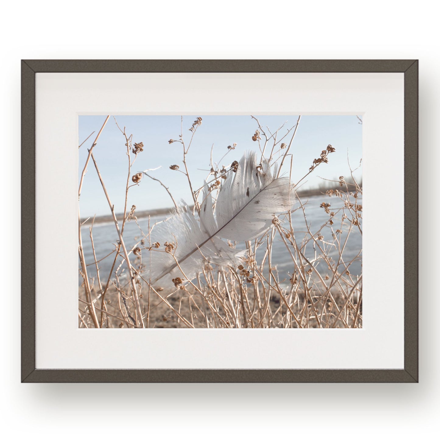 #1116 Gray Feather on Blue Lake, Printable Art, Digital Download, Home Decor, Gallery Art, Wall Art