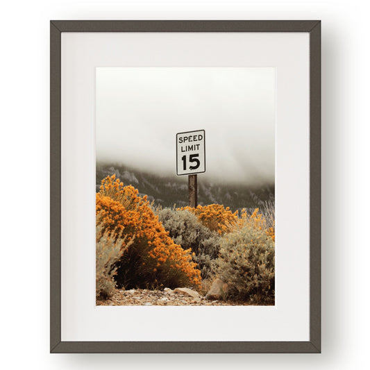 #1117 Speed Limit Sign, Printable Art, Digital Download, Home Decor, Gallery Art, Wall Art