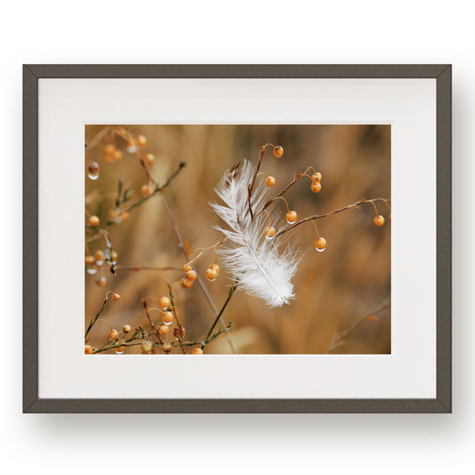 #1120 White Feather on Golden Flax, Printable Art, Digital Download, Home Decor, Gallery Art, Wall Art