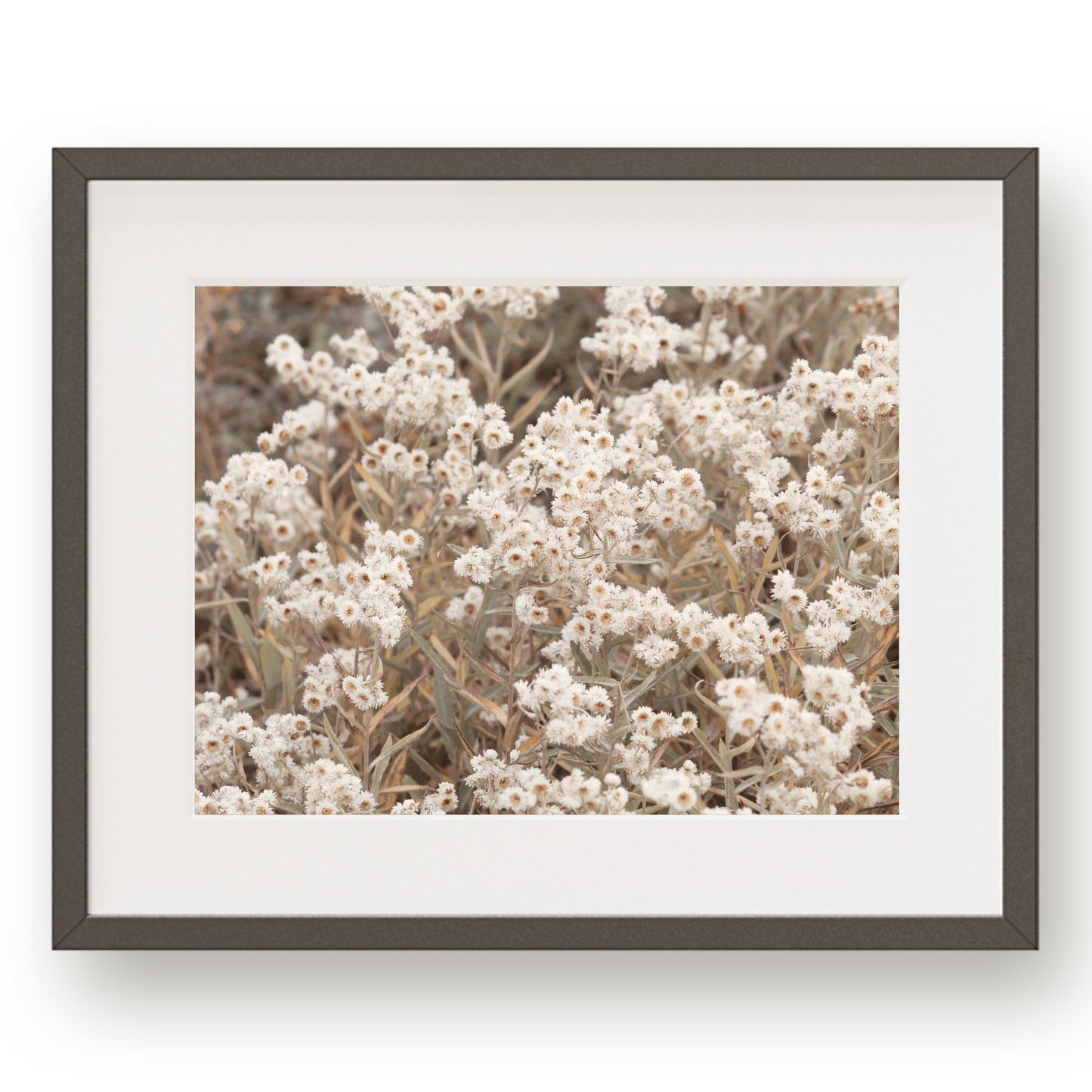 #1134 White Wildflowers, Printable Art, Digital Download, Home Decor, Gallery Art, Wall Art