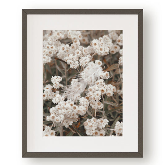 #1135 White Feather in White Wildflowers, Printable Art, Digital Download, Home Decor, Gallery Art, Wall Art