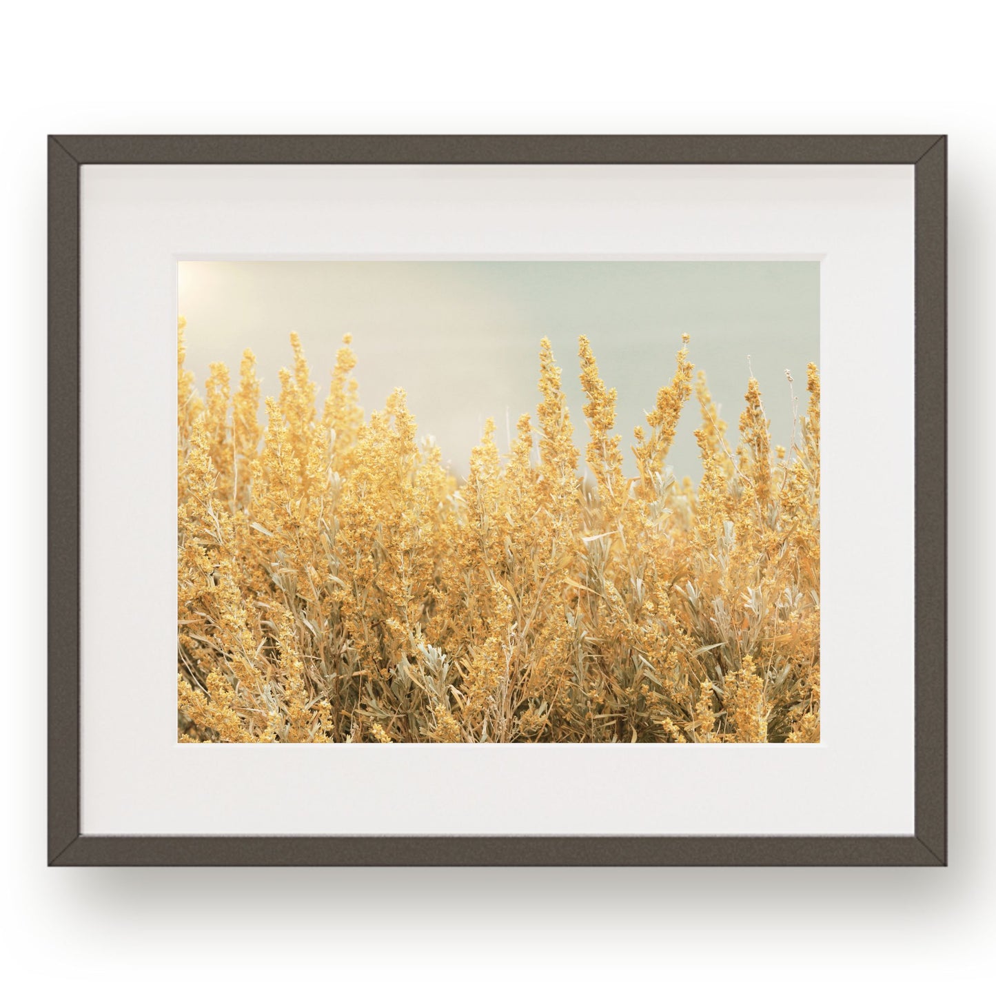 #1136 Golden Sagebrush in Bloom, Printable Art, Digital Download, Home Decor, Gallery Art, Wall Art