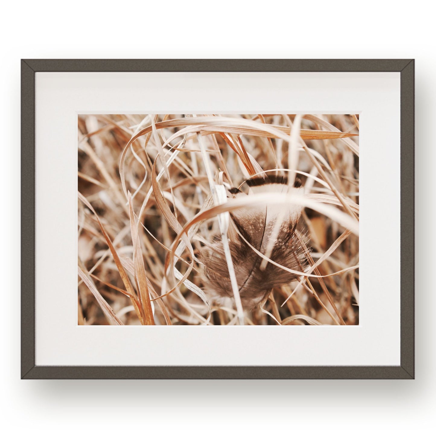 #1141 Brown and White Feather in Meadow Grass, Printable Art, Digital Download, Home Decor, Gallery Art, Wall Art