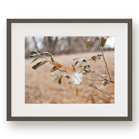 #1142 Orange Feather on Branch, Printable Art, Digital Download, Home Decor, Gallery Art, Wall Art