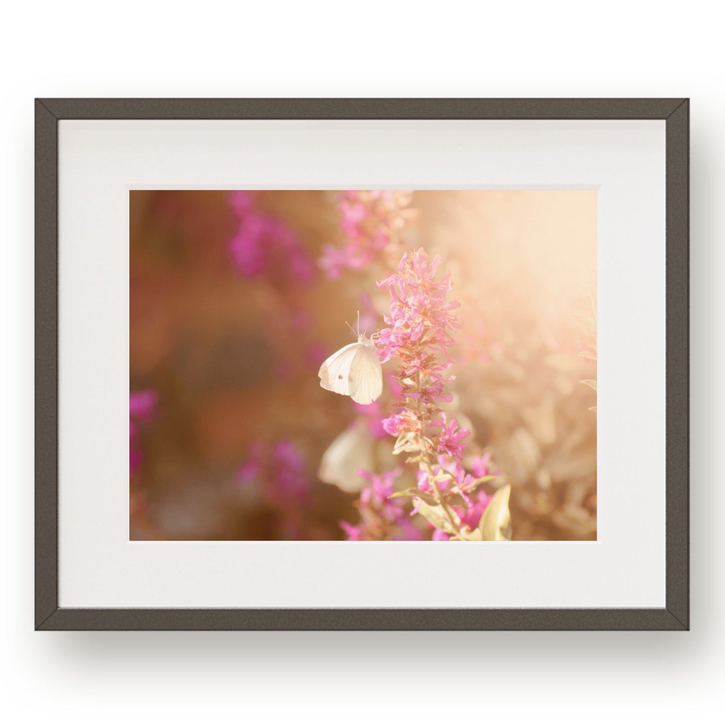 #1145 White Butterfly on Pink Flowers, Printable Art, Digital Download, Home Decor, Gallery Art, Wall Art