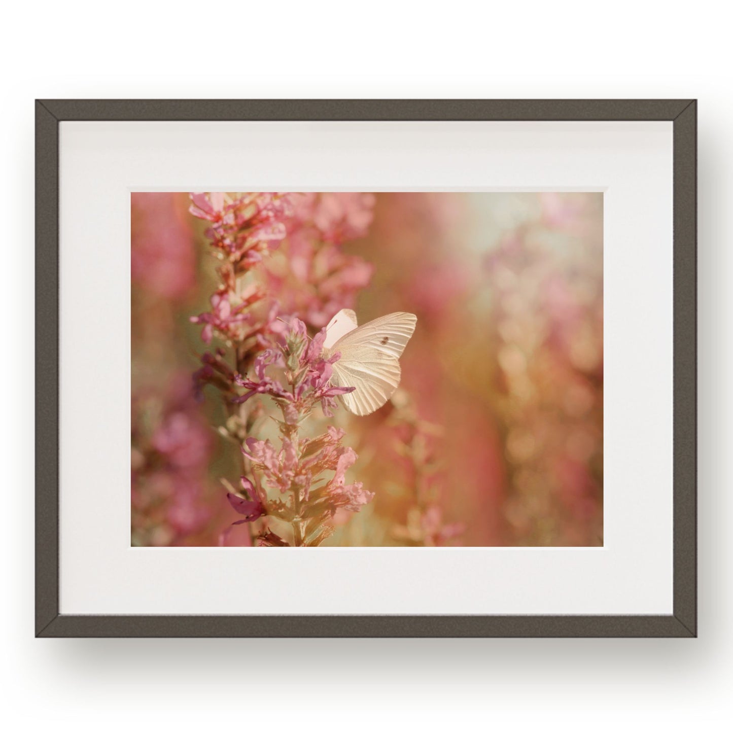 #1146 White Butterfly on Pink Flowers, Printable Art, Digital Download, Home Decor, Gallery Art, Wall Art