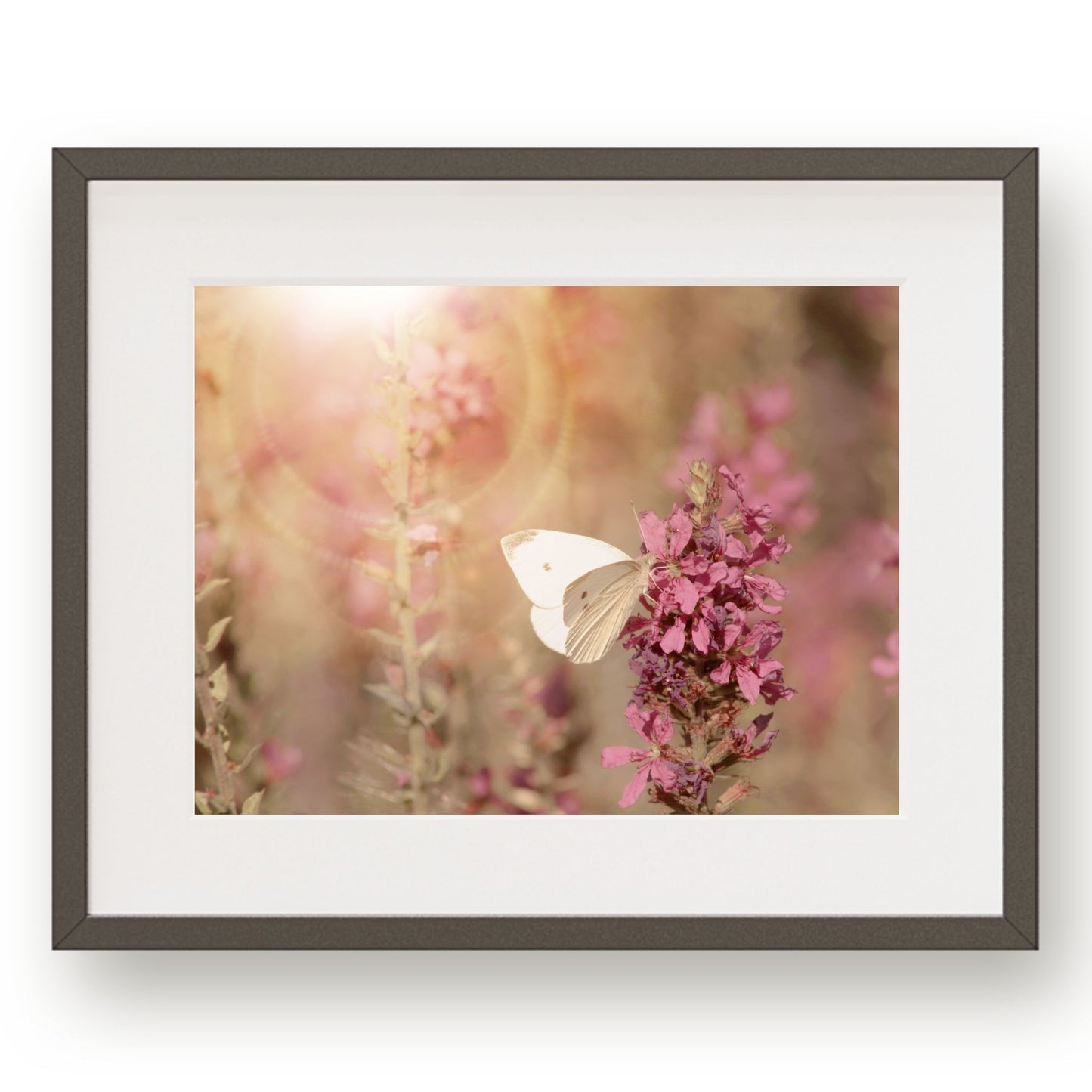 #1147 White Butterfly on Pink Flowers, Printable Art, Digital Download, Home Decor, Gallery Art, Wall Art