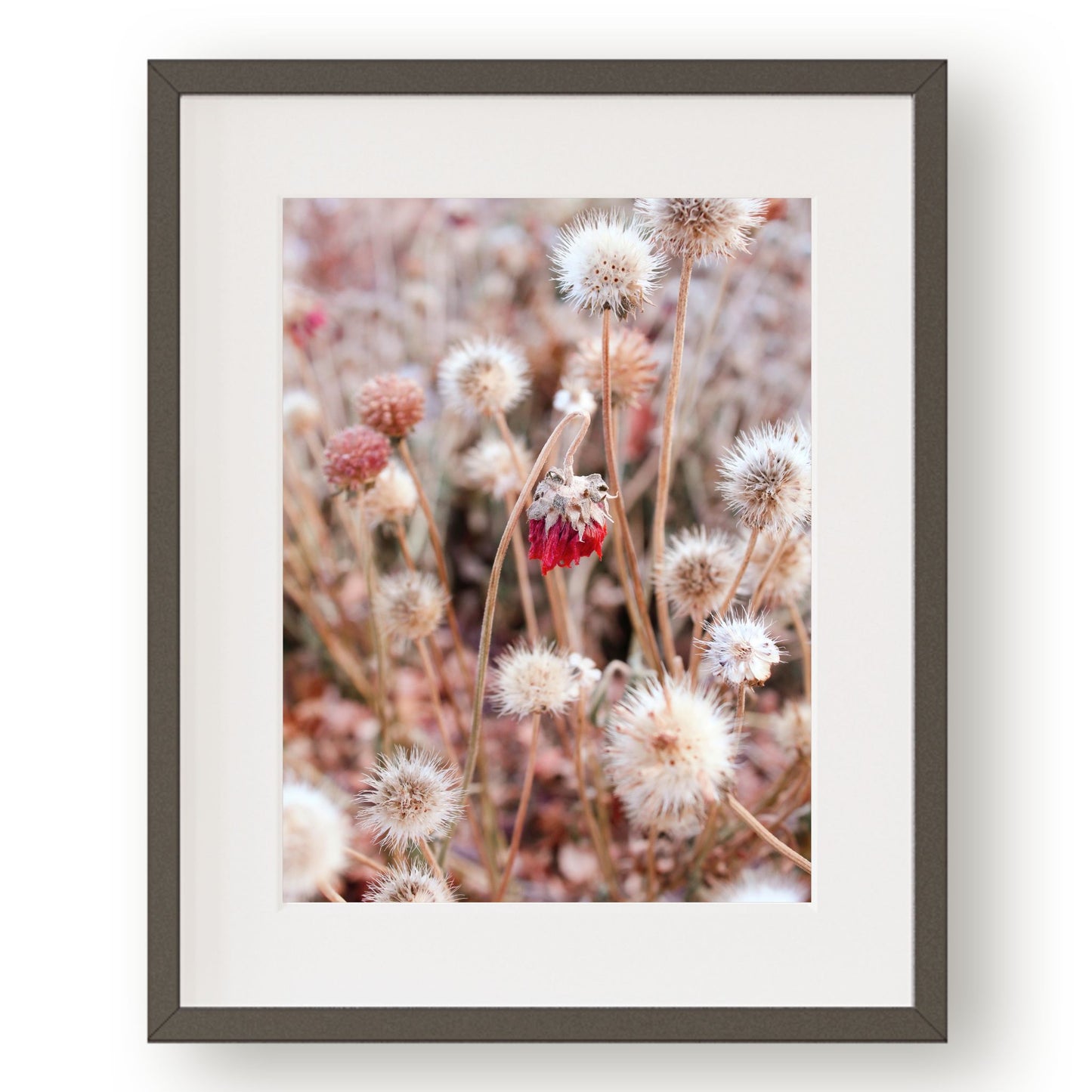 #1150 Pink Flower in Winter, Printable Art, Digital Download, Home Decor, Gallery Art, Wall Art